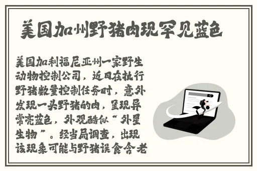 久久无码中文久久无码